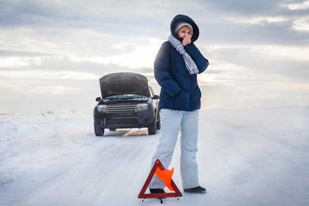 How to drive a Ford safely in winter
